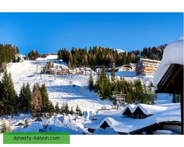 奥地利国家队阿尔卑斯在国际比赛中的表现备受关注